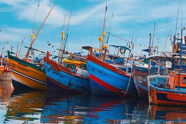 වසර 10කට පසු ජාතික ධීවර යාත්රා සංගණනය අද ඇරඹෙයි