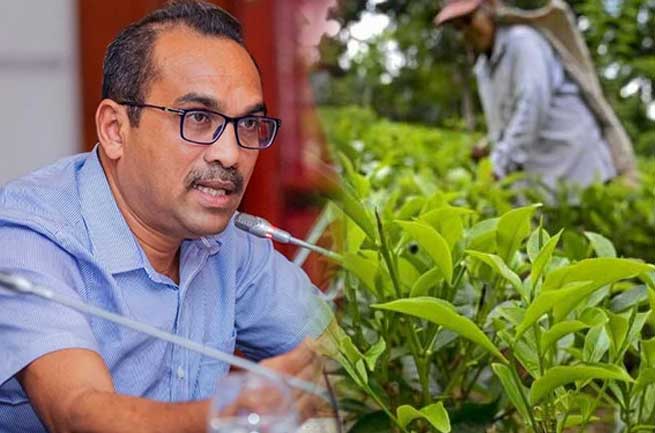 වතු කම්කරු වැටුප් වැඩිකිරීම අභියෝගයක් බව ඇමති බිමල් කියයි