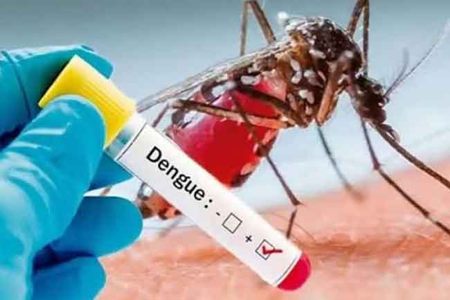 ඩෙංගු රෝගීන් 56,000 ඉක්මවයි – මරණ 35 දක්වා ඉහළට