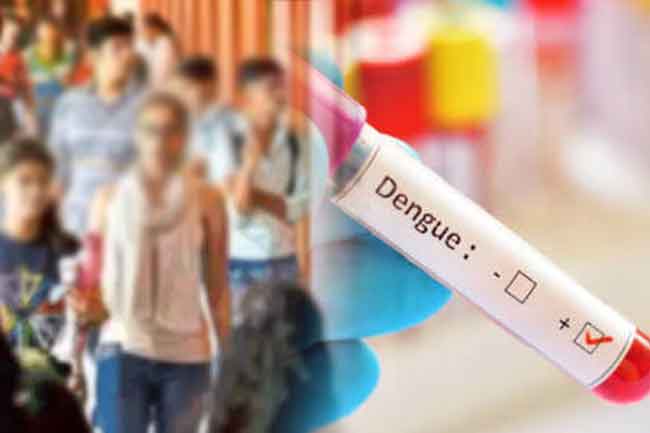 කොළඹ විශ්වවිද්යාලයේ සිසුන් 71කට ඩෙංගු – සතියකට දේශන ඔන්ලයින් ක්රමයට