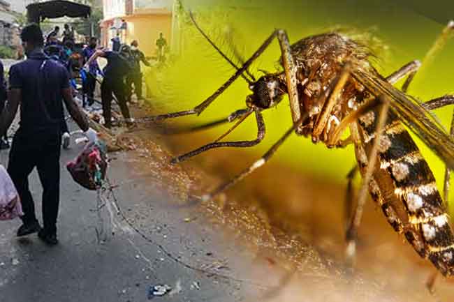 ඩෙංගු තවදුරටත් අවදානමේ – ඇමති නලින්ද කියයි
