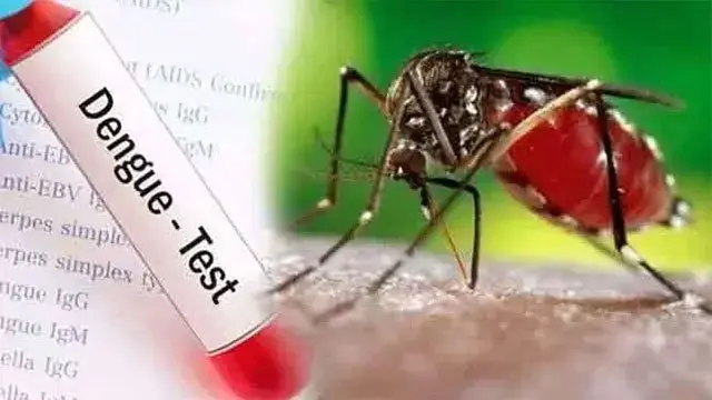 ඩෙංගු රෝගීන්ගේ සංඛ්යාව 72,430 දක්වා ඉහළට